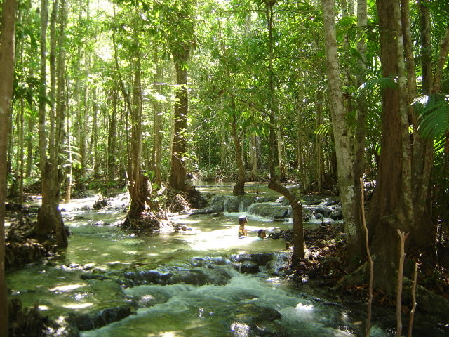 Thermal Spring Pools