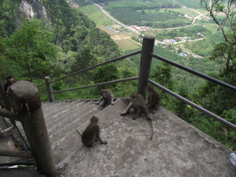 Tiger Temple steps