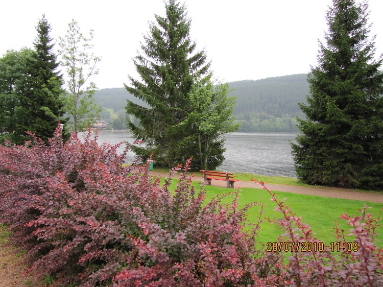 Titisee_Black_forest