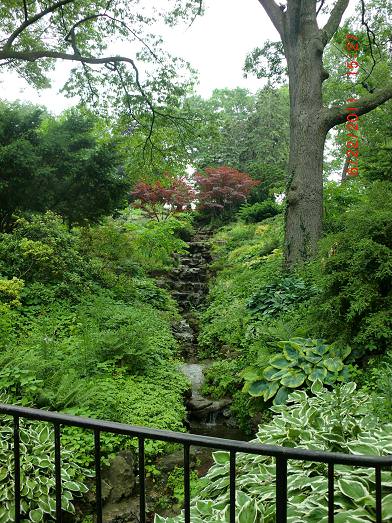 Toronto High Park