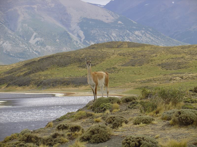 Torres del Paine National Park, Chile