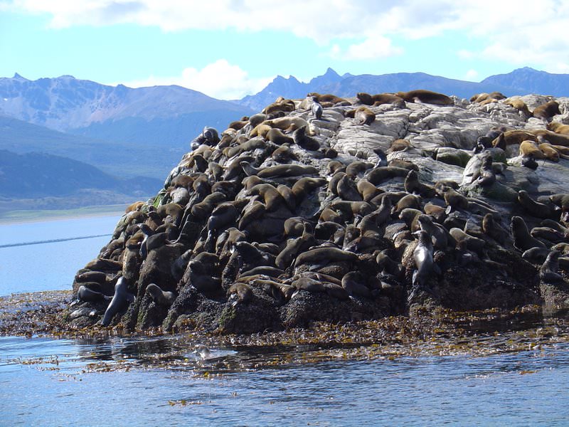 Ushuaia, Argentina