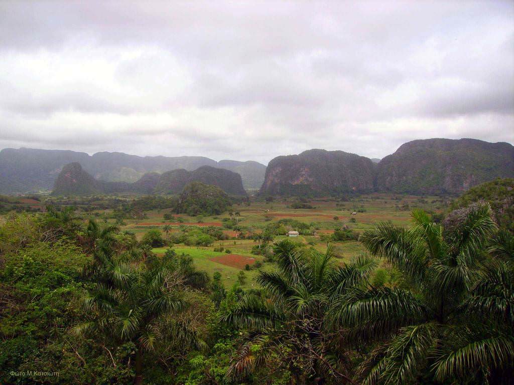 Vinales