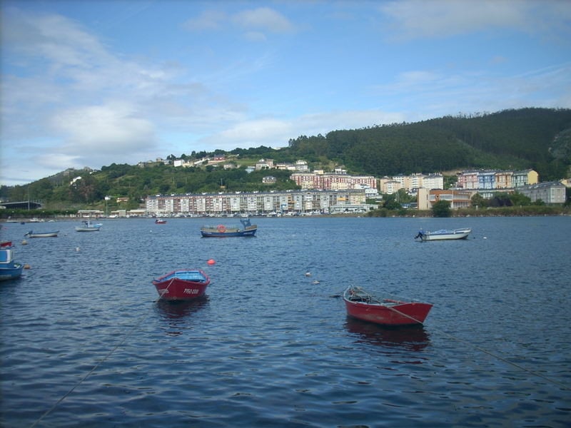 Viveiro