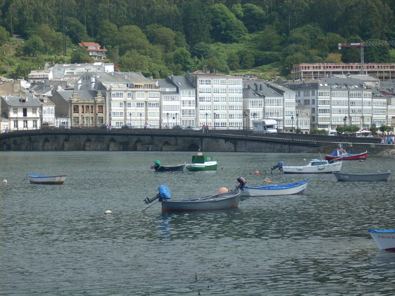 Viveiro