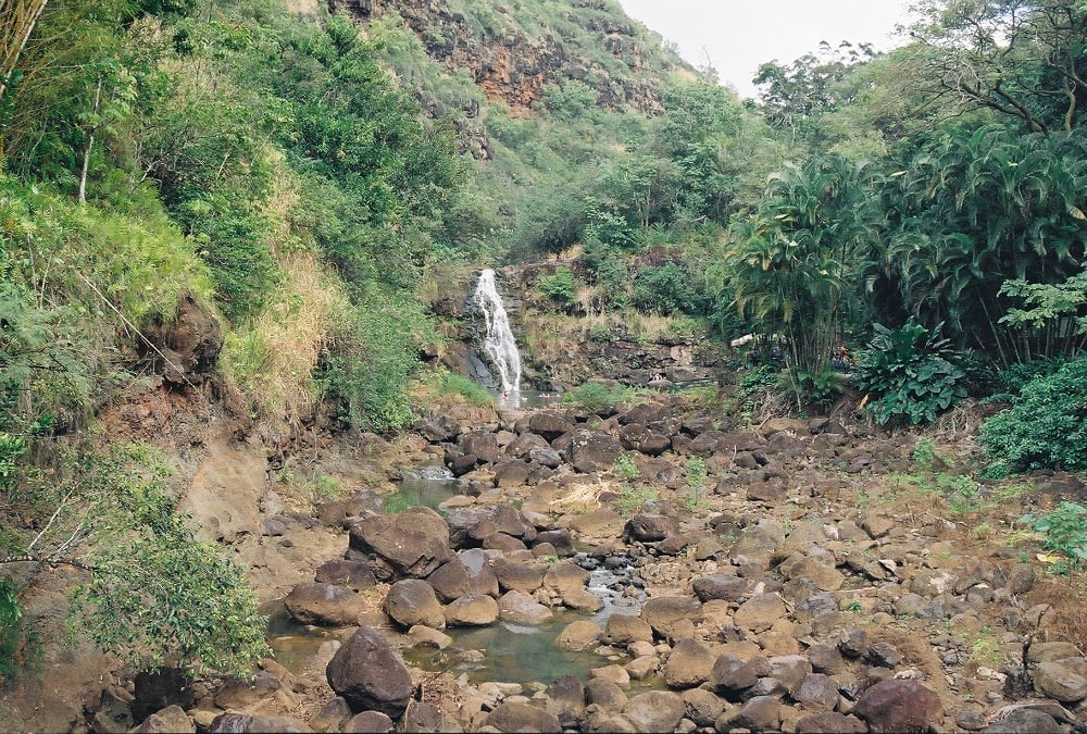 Waimea Botanical Gardens 5