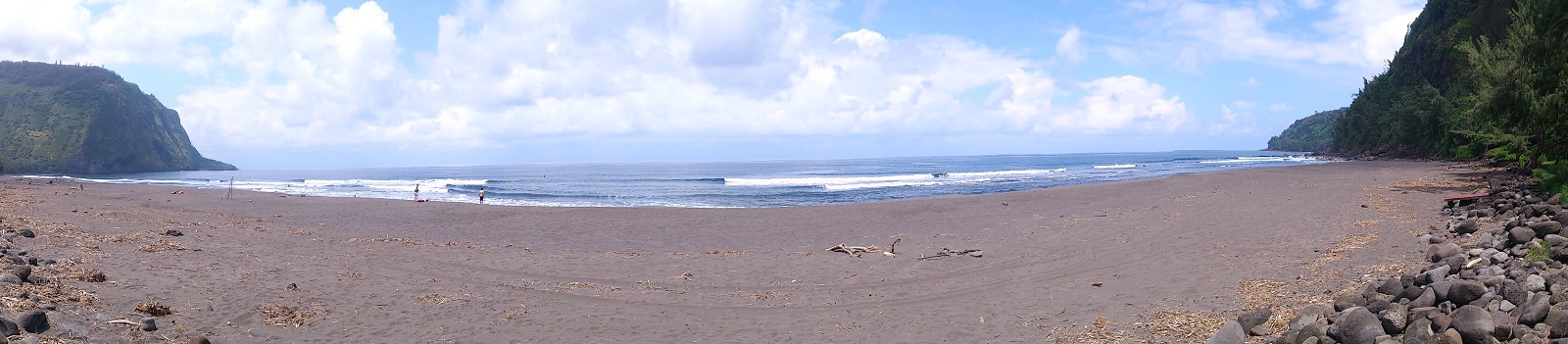 Waipio Valley Beach 1