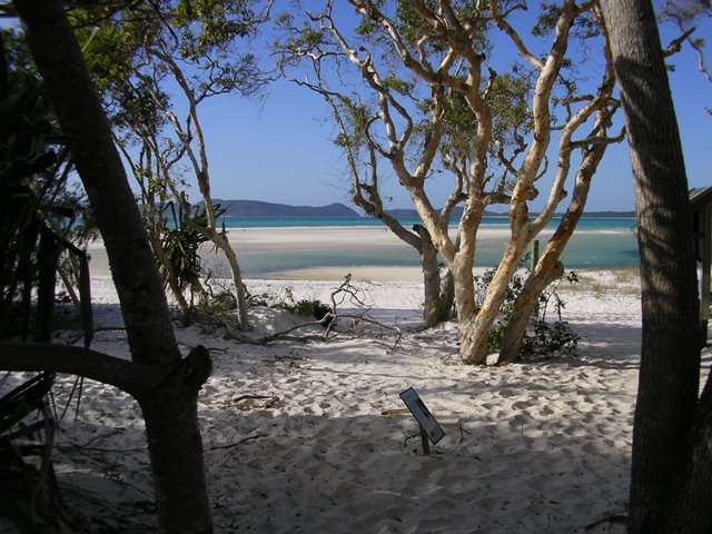 Whitsunday Island