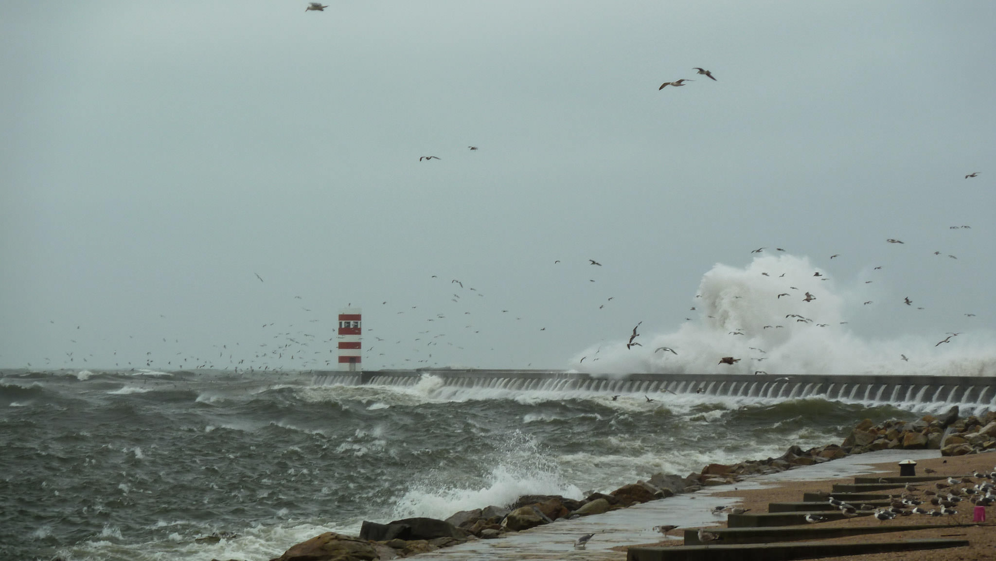 Wild Atlantic Ocean - Porto