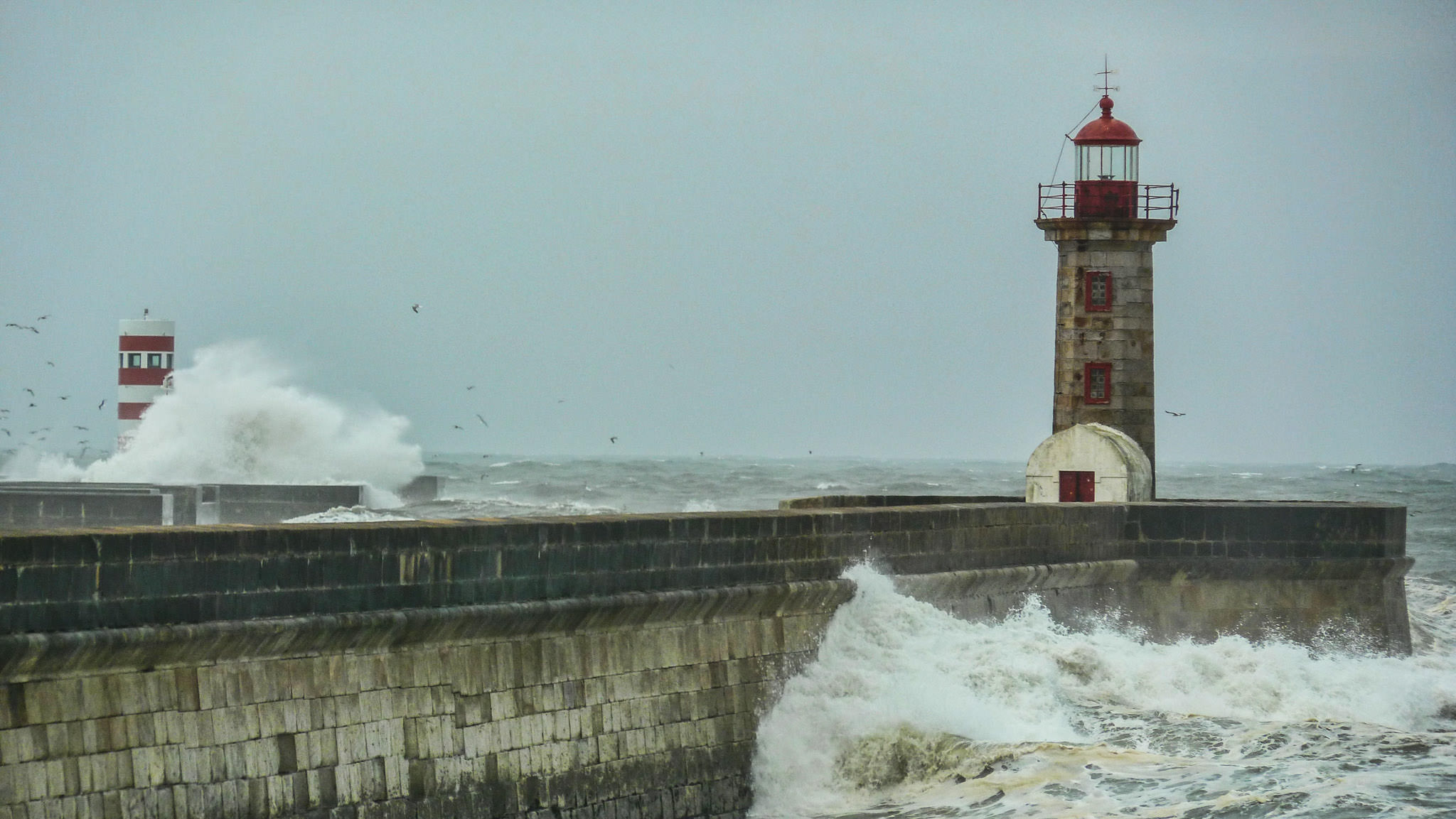 Wild Atlantic Ocean - Porto