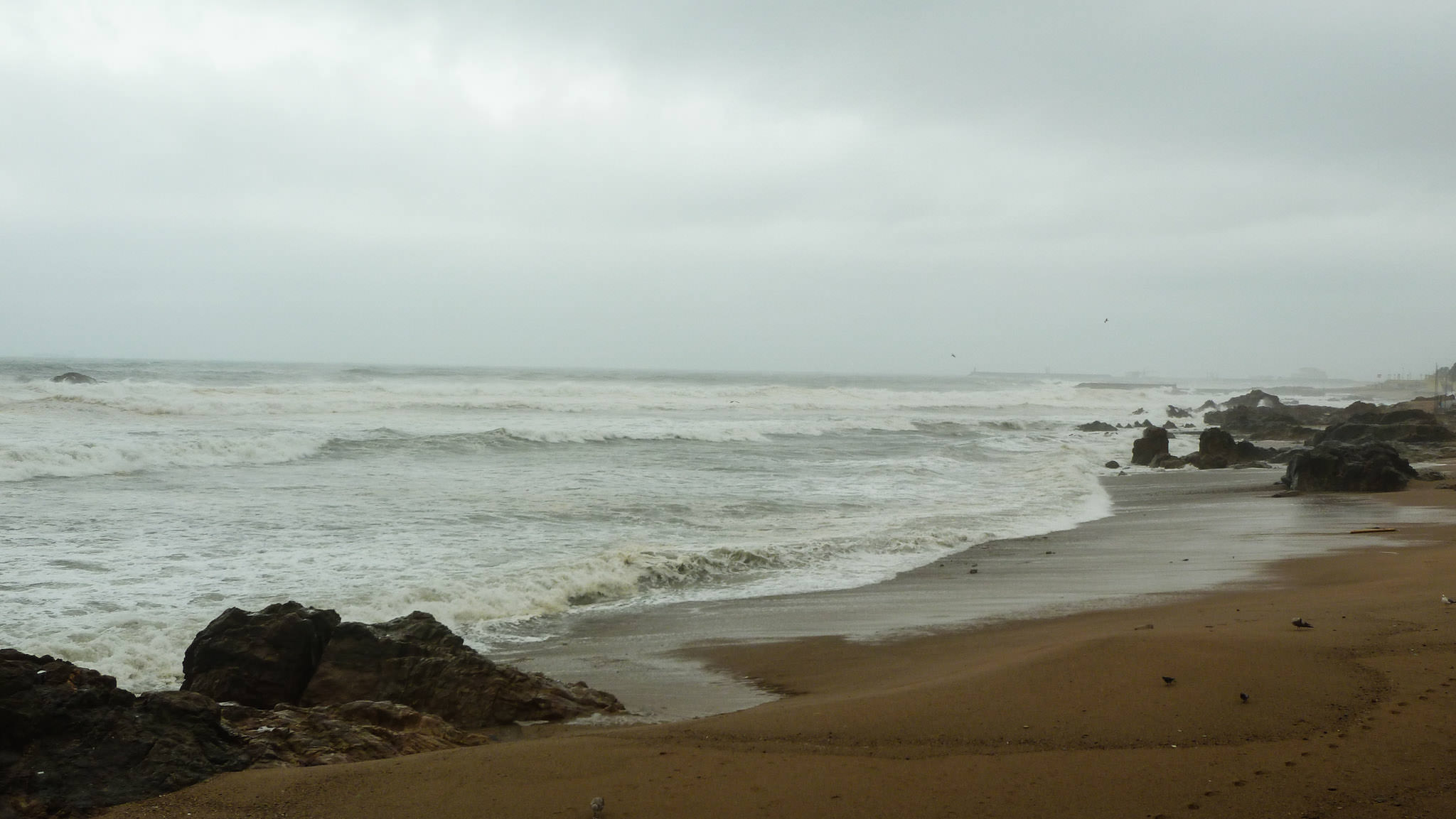 Wild Atlantic Ocean - Porto