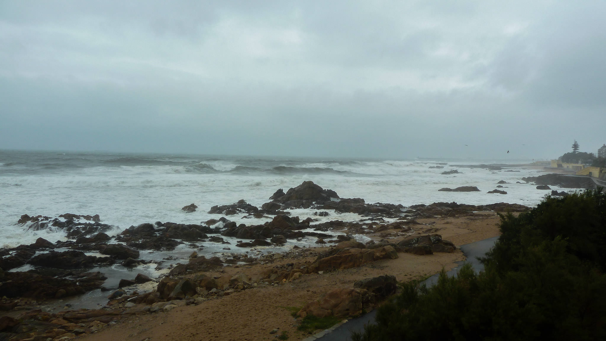 Wild Atlantic Ocean - Porto