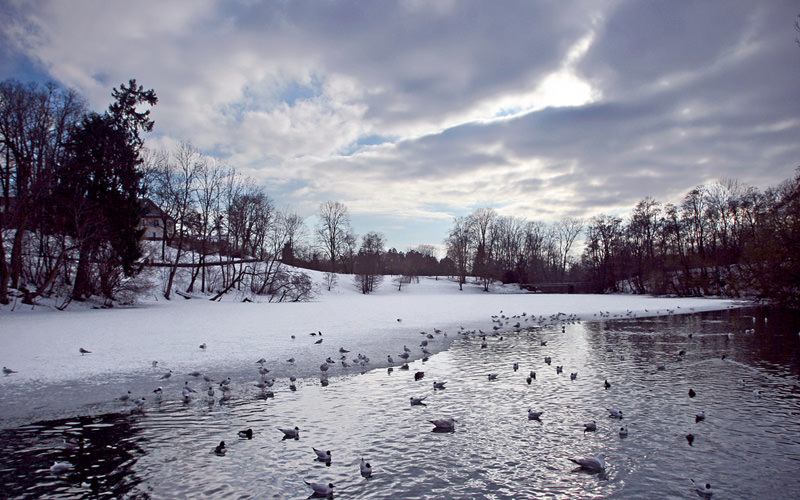 winter lake