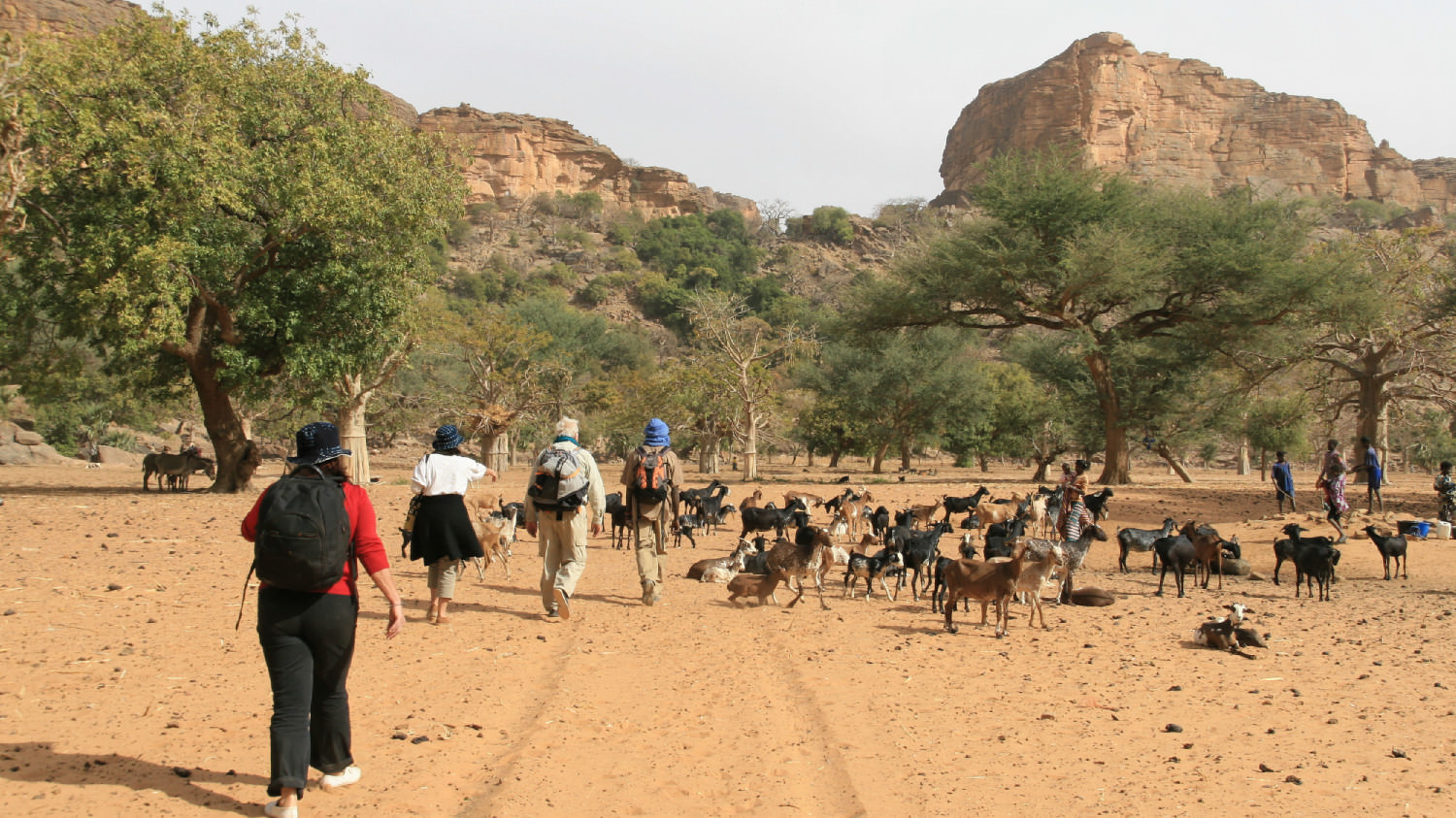 Xώρα των Dogon (UNESCO)