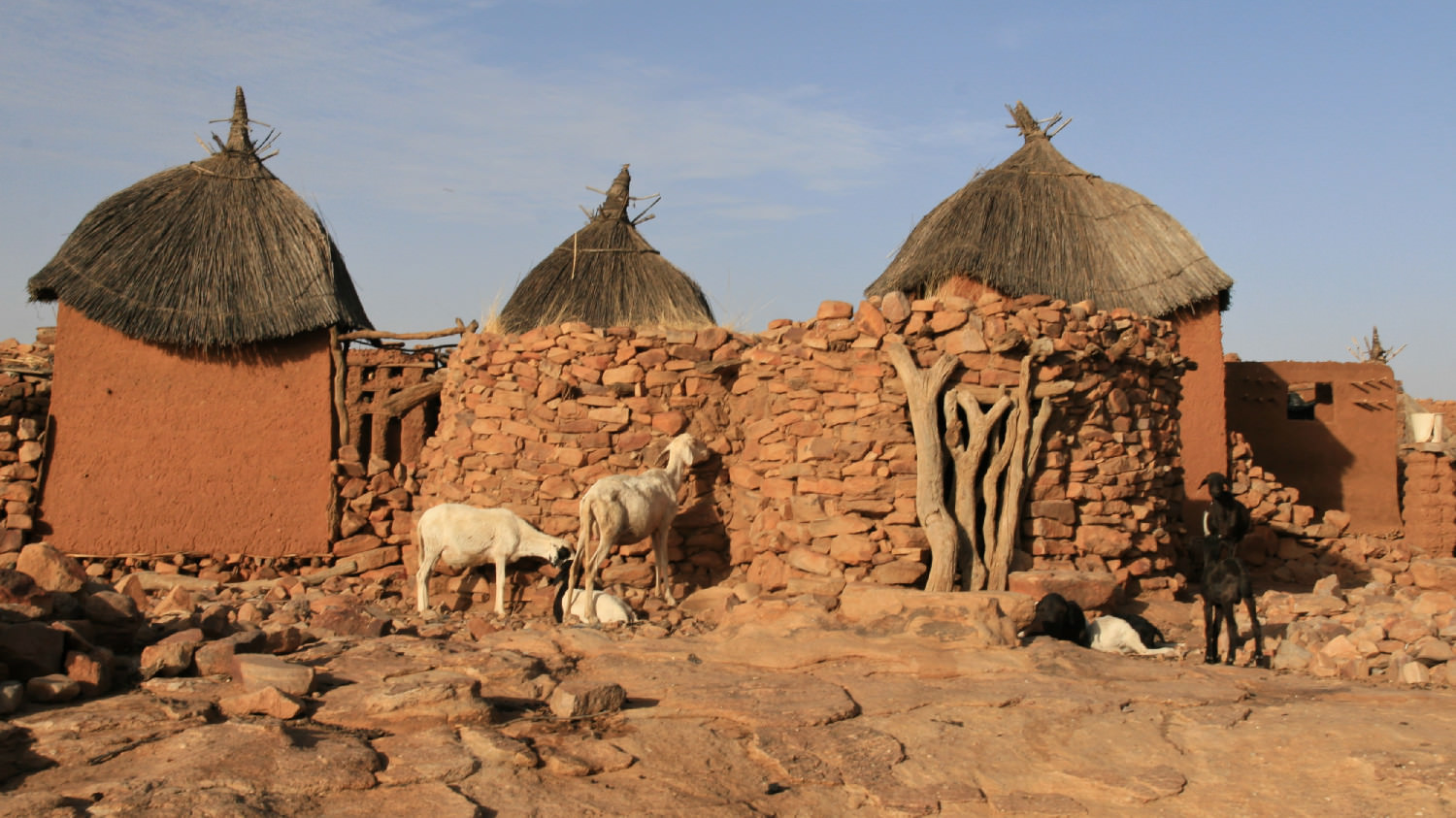 Xώρα των Dogon (UNESCO)