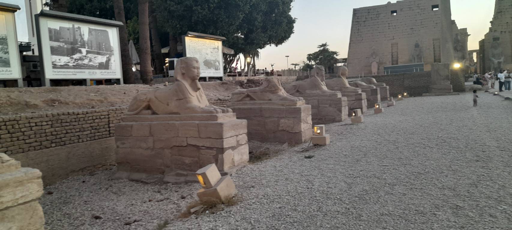 The way to Karnak with the sphinx statues