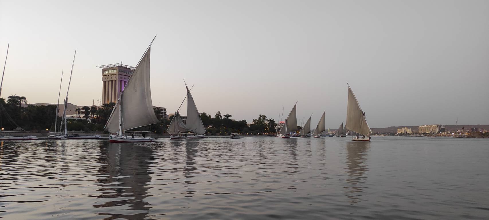 Felucca